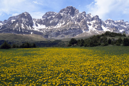 Col-des-Moines-vallee-d-Ossau-Pyrenees-Atlantiques